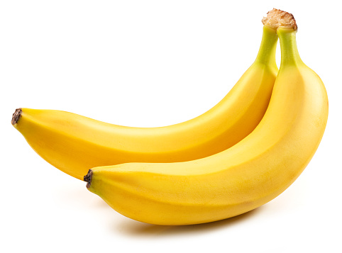 Two perfect ripe yellow bananas isolated on white background.