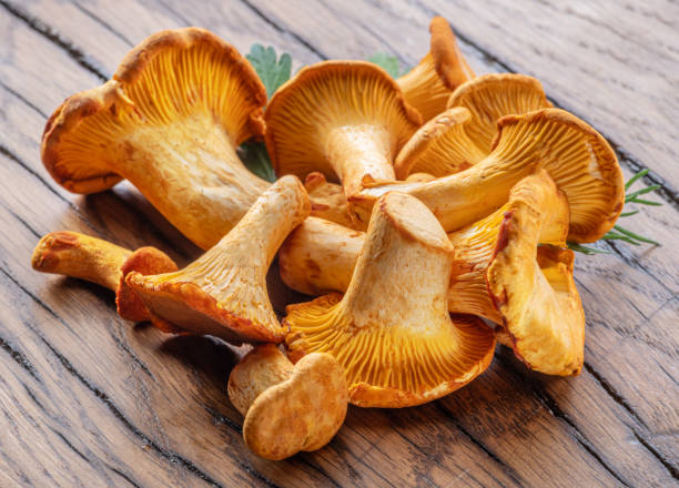 golden chanterelle mushrooms on the old wooden table. - horoz mantarı stok fotoğraflar ve resimler