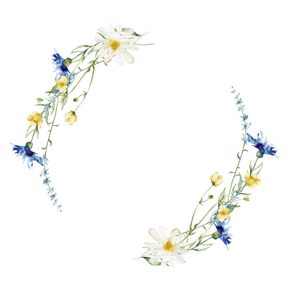 Watercolor painted floral wreath on white background. Yellow, blue, white wild flowers. Cornflowers, chamomiles. buttercups. ircular shape frame. Traced vector illustration.