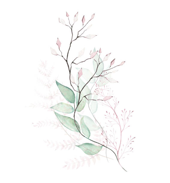 Watercolor bouquet. Wild garden pink and green branches, leaves, twigs. Hand drawn floral illustration Watercolor bouquet with wild garden pink and green branches, leaves, twigs. Hand drawn floral clipart illustration. flower arrangement bouquet variation flower stock illustrations