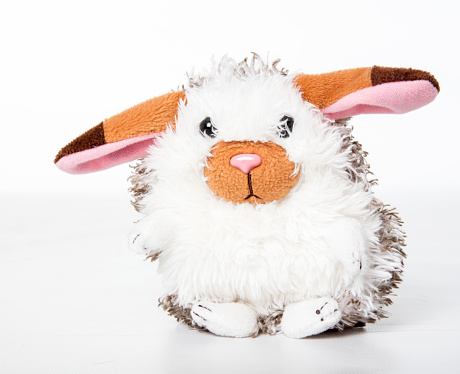 Toy bunny rabbit on a white background