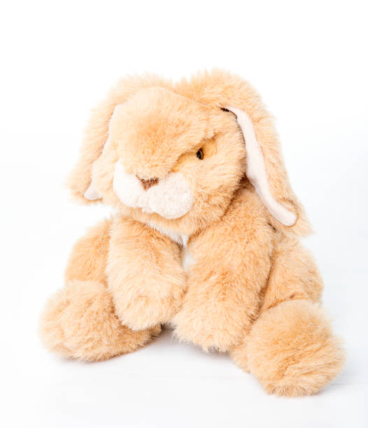 istock Toy bunny rabbit on a white background 1395912410