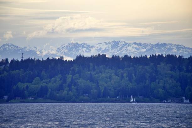 istock Puget Sound Scenes 1395914117