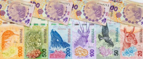 istock Argentinian Banknotes, Various types, Panorama, Financial concept 1395917922