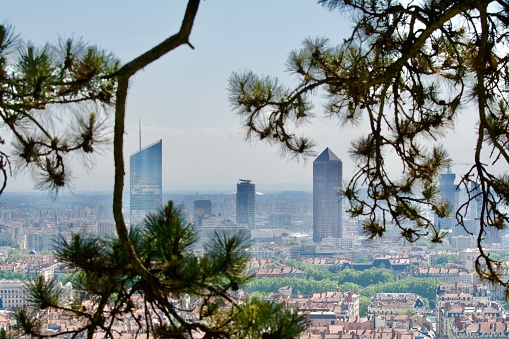 Lyon CBD seen through the branches of trees. Lyon green and welcoming city