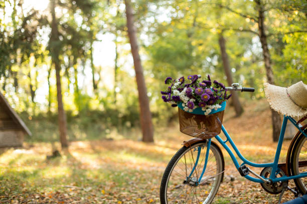 велосипед оборудован корзинами цветов - bicycle wall green single object стоковые фото и изображения