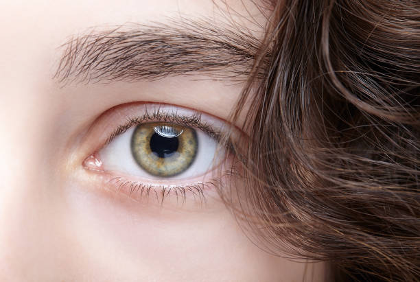 istock Female eye zone and brows with day nude makeup 1395922147