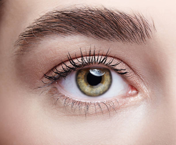 istock Female eye zone and brows with day nude makeup 1395922173