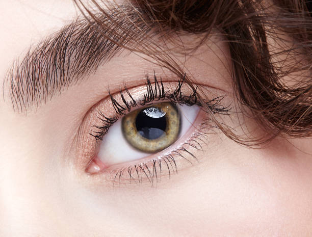 istock Female eye zone and brows with day nude makeup 1395922180