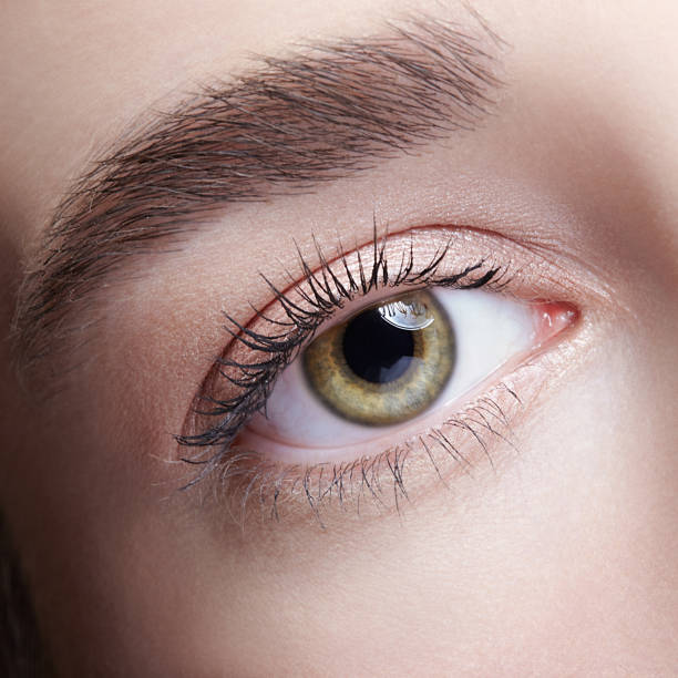 istock Female eye zone and brows with day nude makeup 1395922184