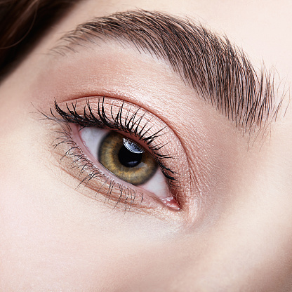 Female Eye with Extreme Long False Eyelashes. Eyelash Extensions. Makeup, Cosmetics, Beauty. Close up, Macro