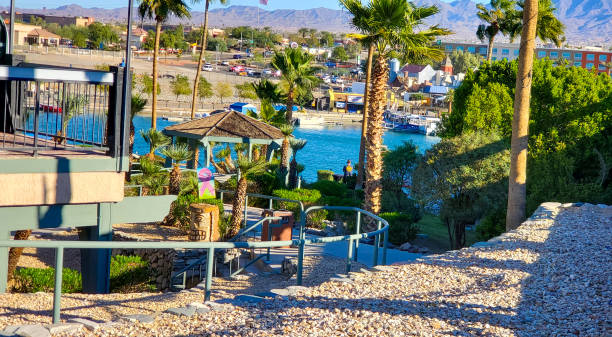 istock Very green Havasu 1395929006