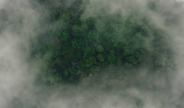 istock From Top of Sky 1395931184
