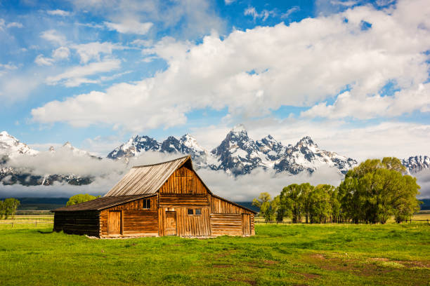 istock Summer morning over scenic barn with mountain range in the background 1395932475