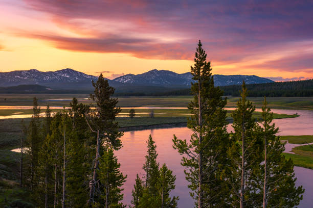 istock Morning light over the Madison River Valley 1395932476