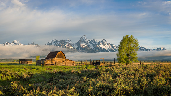 A summer morning view of the scenic farmland at the old John Moulton barn in the historic Mormon Row district of the Grand Teton National Park in Wyoming