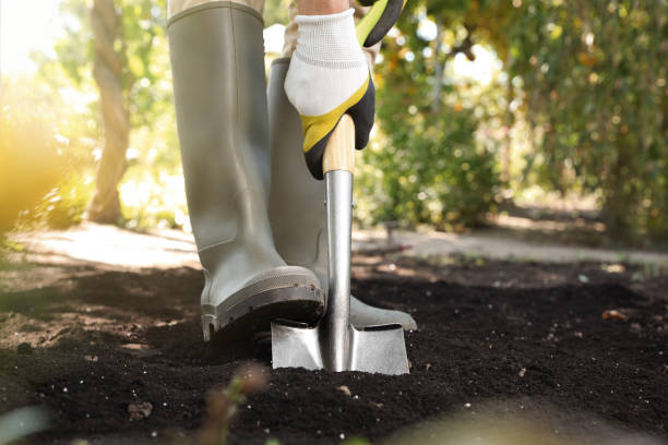 istock Man digging soil with shovel outdoors, closeup. Gardening time 1395933835