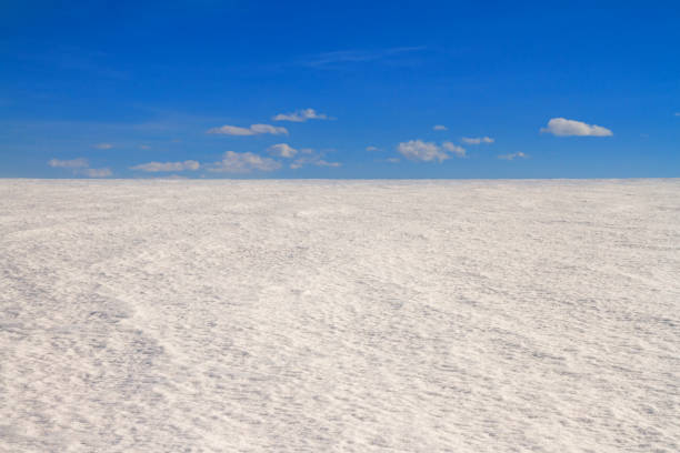 Arctic winter landscape - view of a snowy desert field in the rays of the winter sun