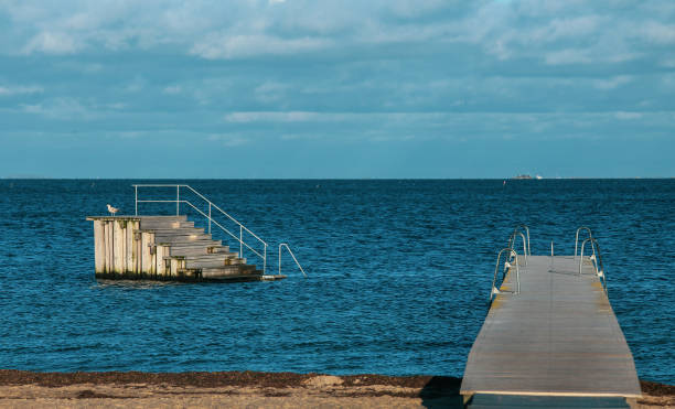 Popular Amager beach in Denmark