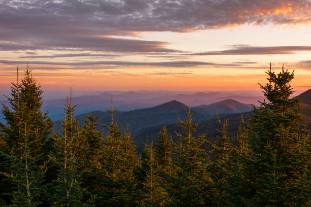 Sunset view of the Appalachian Mountains looking through red spruce trees stock photo