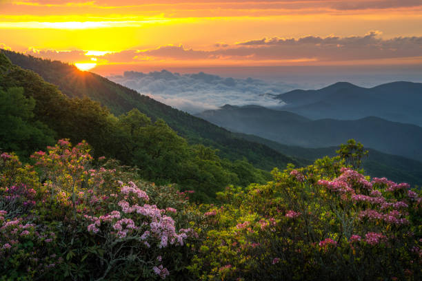 istock A scenic summer morning in the Blue Ridge Mountains 1395945744