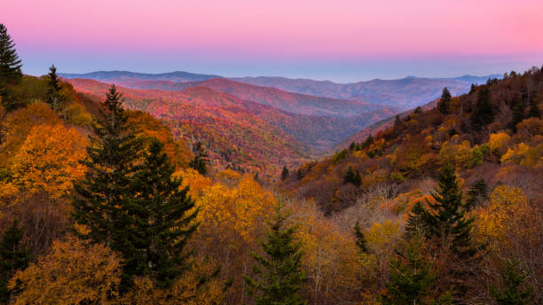 Twilight sky and fall foliage over the Great Smoky Mountains stock photo