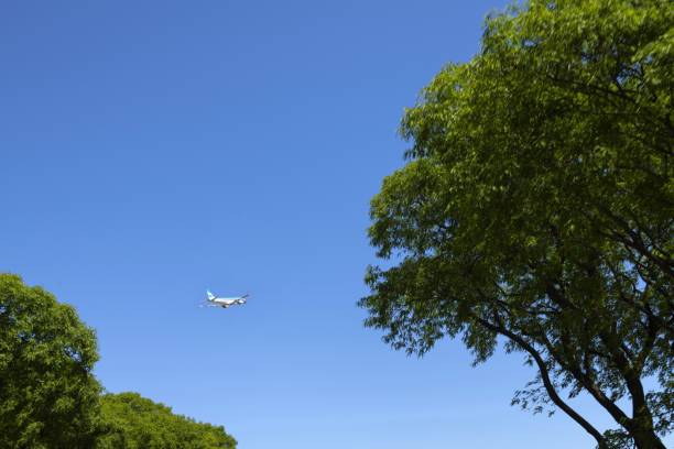 Buenos Aires, Argentina, November 20, 2019: A plane of Argentina Airlines takes off from the Aeroparque Jorge Newbery in Buenos Aires.