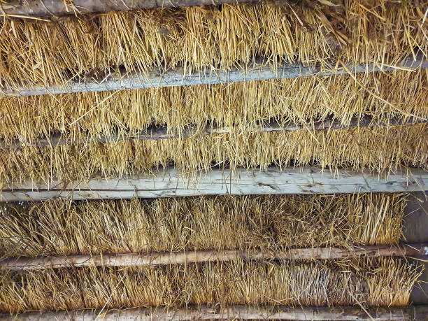 istock thatched roof of house inside view, texture background 1395946878