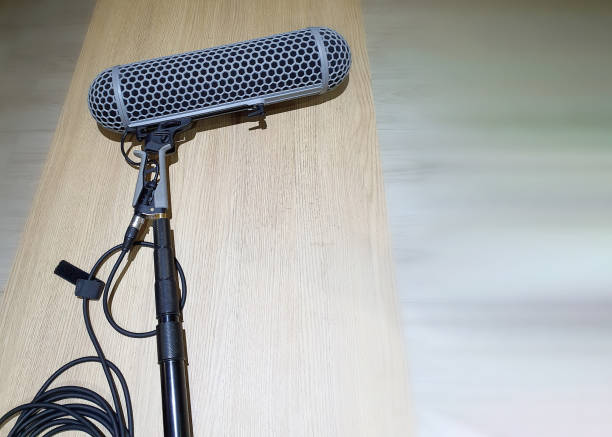100+ Shotgun Microphone Stock Photos, Pictures & Royalty-Free Images