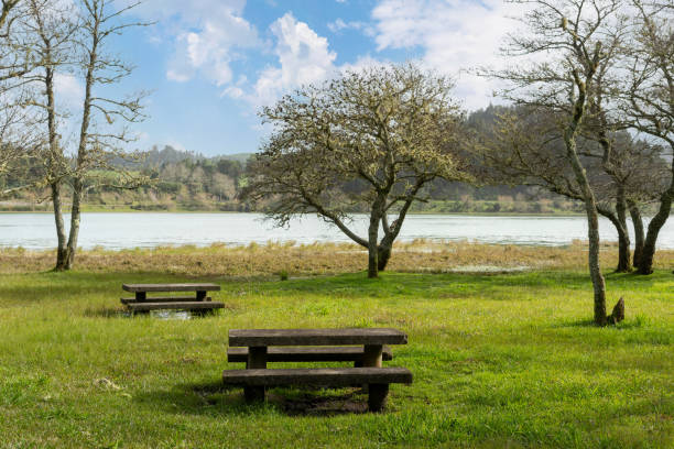 istock Picnic tables and benches on green meadow grass in park 1395950807