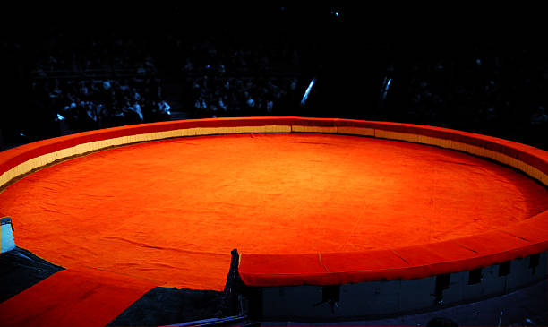 Scene of circus
