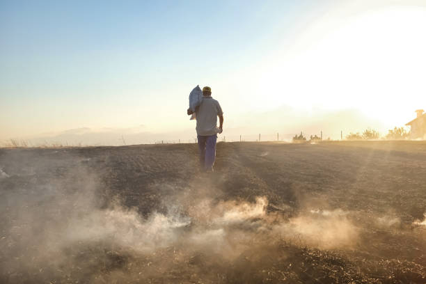 istock Farmer walking on misty field 1395952771
