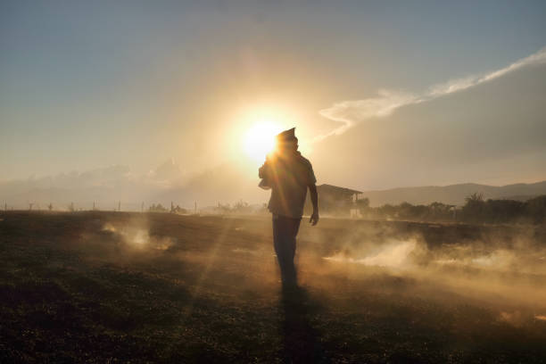 istock Farmer walking on misty field 1395953030