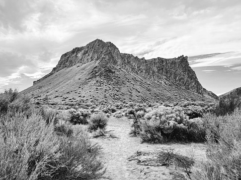High Desert Scene - Wilson Canyon Nevada
