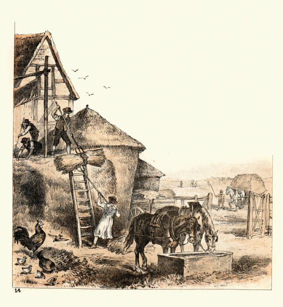 Victorian farm workers building hay stacks, Farming agriculture 19th Century Vintage illustration, Victorian farm workers building hay stacks, Farming agriculture 19th Century antique pitchfork stock illustrations