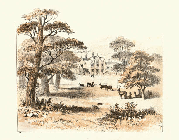 イギリスの田舎の邸宅の公園を歩き回る鹿、ビクトリア朝の19世紀 - lithograph点のイラスト素材／クリップアート素材／マンガ素材／アイコン素材