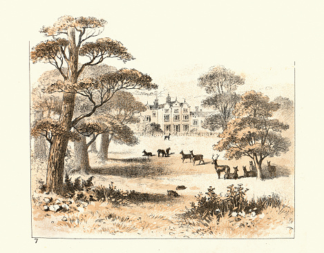 Vintage illustration, Deer roaming through a park at an English country estate, Victorian 19th Century
