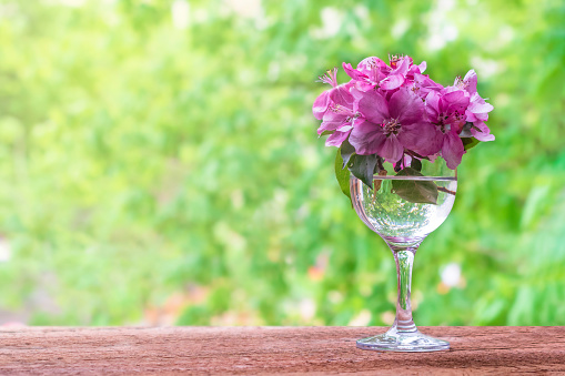 Beautiful bouquet of spring flowers.Pink apple tree flowers in a glass vase.