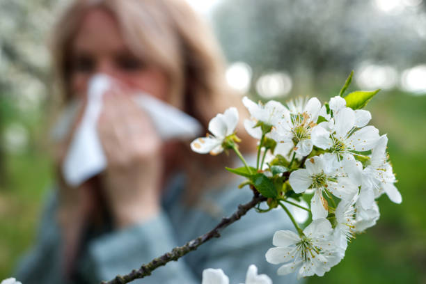 Pollen allergy in spring season stock photo