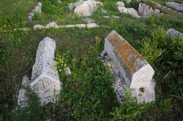 istock Celebibag Seljuk Tomb - Van / TURKEY 1395965397