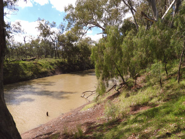 istock Lake Cargelligo, NSW, Australia 1395967456