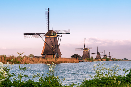 A collection of 18th Century traditional Dutch windmills, at sunset at Kinderdijk in South Holland.