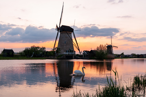 Two of 18th Century traditional Dutch windmills reflected in water at sunset at Kinderdijk in South Holland.