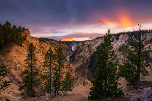 scenic sunset view of lower falls - lower falls imagens e fotografias de stock