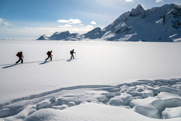 лыжный туризм по замерзшему морскому льду - arctic snow ski glacier стоковые фото и изображения