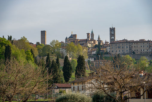 Bergamo old part skyline with trees in spring