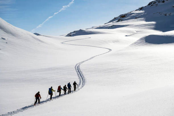 Team building in an extreme environment Ski mountaineering in Eastern Greenland. Kulusuk Island skiing. Ski expedition in a remote environment. greenland photos stock pictures, royalty-free photos & images