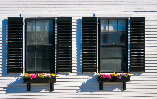 Twin window boxes with springtime flowers beneath windows with black shutters on an old house in Plymouth, Massachusetts