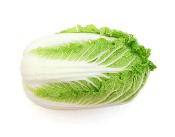 istock Tasty Chinese cabbage isolated on white 1395975603
