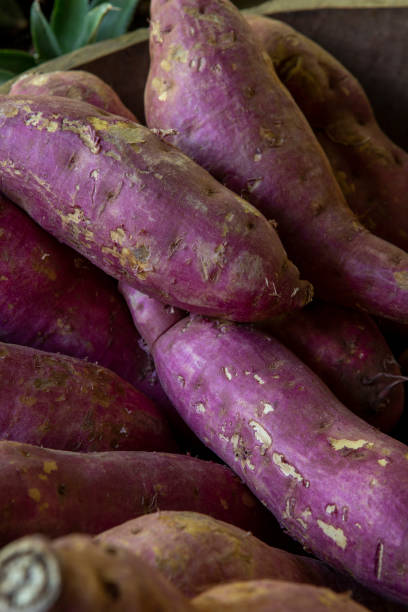 istock sweet potato in natura 1395980183